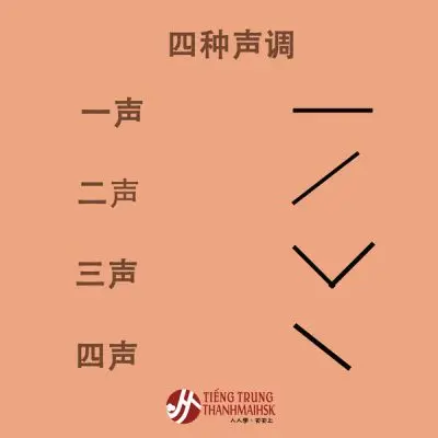 Khi mới bắt đầu học tiếng Trung nên học bảng chữ cái gì?